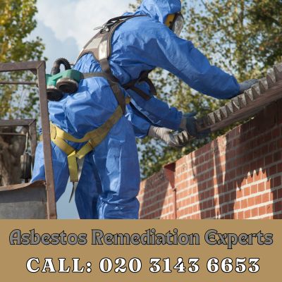 Asbestos Remediation Experts Paddington