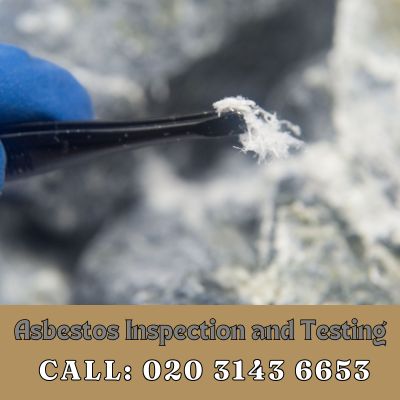 Comprehensive Asbestos Inspection and Testing Services in Paddington